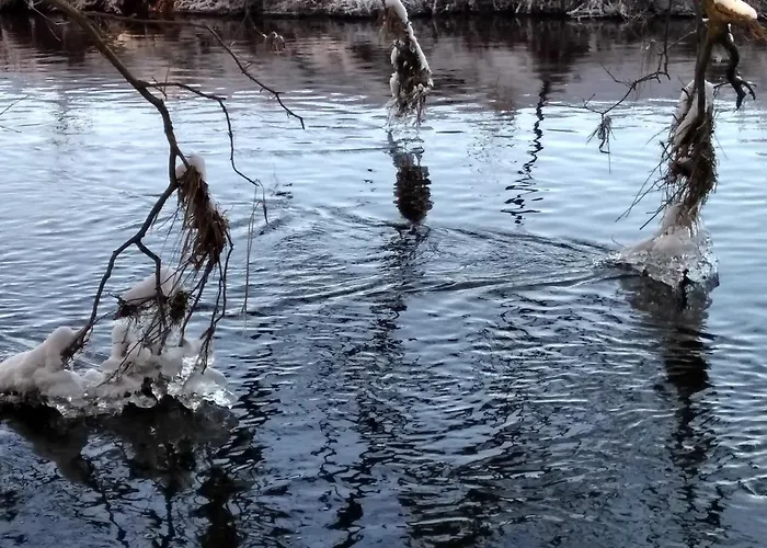 Villa Duck-Dich-Suedheide